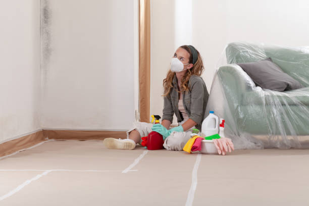 Reliable Mold Testing contractor in Pineville, KY by WQB Mold Removal